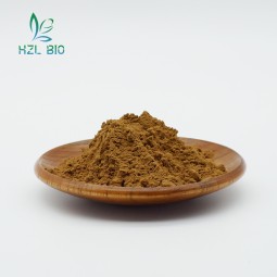 Gentian Root Extract Supplier - 8% Gentiopicroside Natural Powder