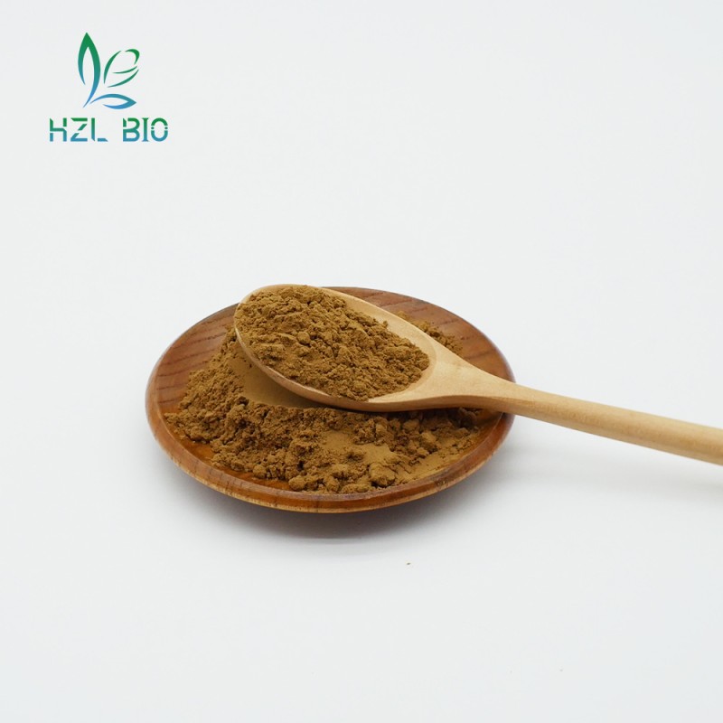 Gentian Root Extract Supplier - 8% Gentiopicrin Natural Powder