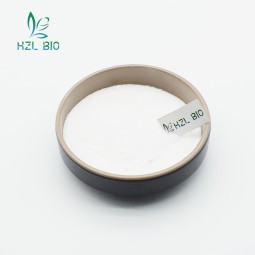 Centella Asiatica Extract Supplier - Organic White Leaf Powder