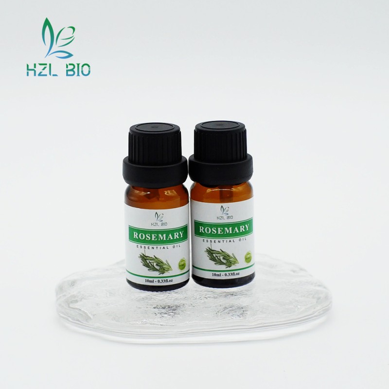 Rosemary Essential Oil Supplier - Pure Natural Low Price