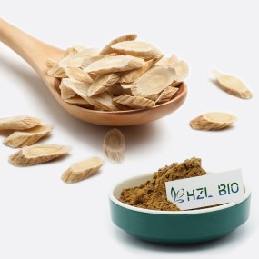 Astragalus Root Extract Factory - Organic Powder Low Price