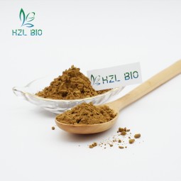 Agaricus Blazei Powder Supplier - Mushroom Extract Organic