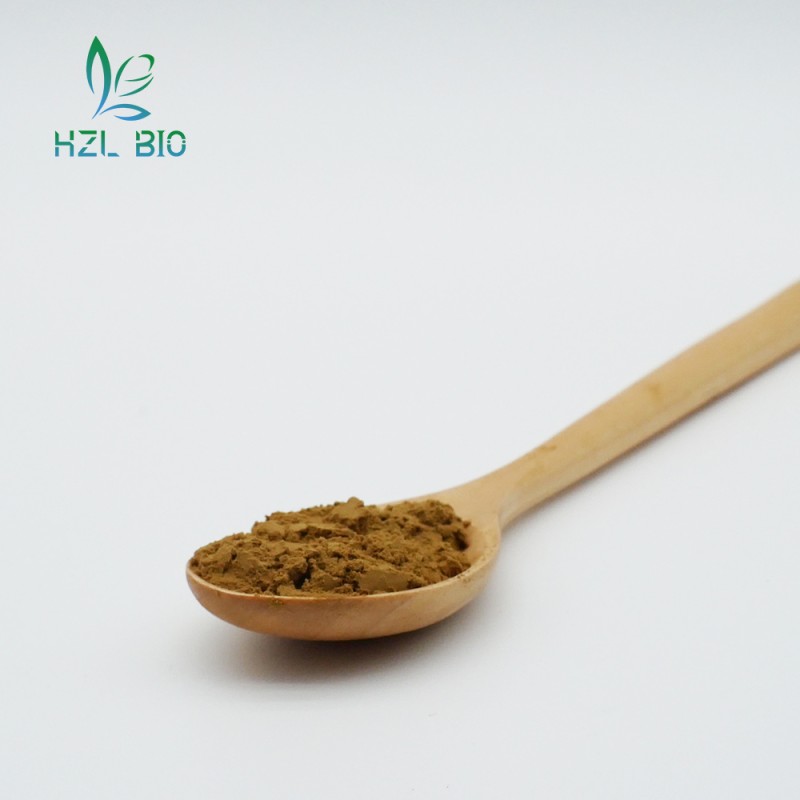 Gentian Root Extract Manufacturer - Gentiopicrin Organic Powder