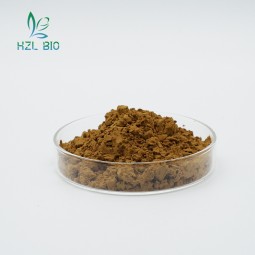 Apple Peel Extract Supplier - 70% Polyphenols Powder Low Price