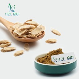 Astragalus Plant Extract Manufacturer - 100% Natural Root Powder