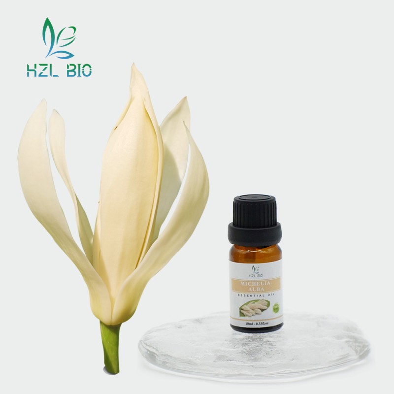 Michelia Alba Essential Oil Supplier - Wholesale Natural Extract