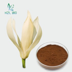 Michelia Alba Extract Supplier - Health Care Powder Bulk