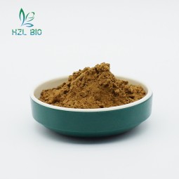 Apple Fruit Extract Factory - Natural Polyphenol Powder