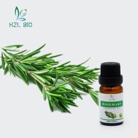 Rosemary Essential Oil Manufacturer - Wholesale Natural Organic