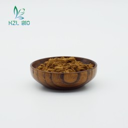 Gentian Root Extract Manufacturer - 8% Gentiopicroside Healthcare