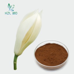 Michelia Alba Flowers Powder Factory - Hot Selling Natural Extract