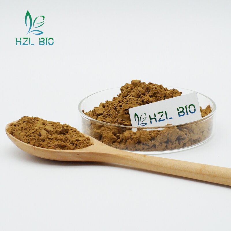 Apple Peel Extract Supplier - 70% Polyphenols Powder Low Price