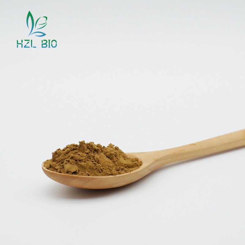 Astragalus Root Extract Factory - Organic Powder Low Price