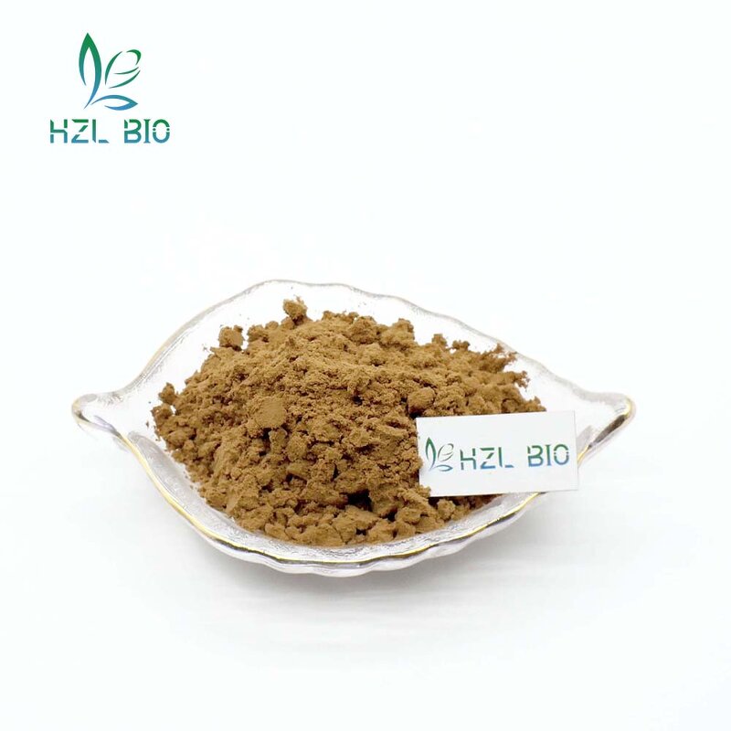 Monk Fruit Extract Factory - Natural Sweetener Beverage Industry