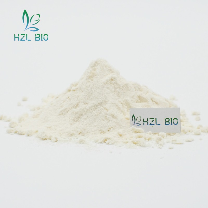 White Kidney Bean Extract Manufacturer - Natural Weight Loss Powder