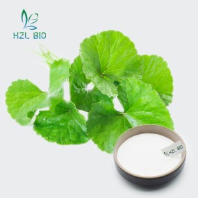Centella Asiatica Extract Factory - Multifunctional Powder Wholesale