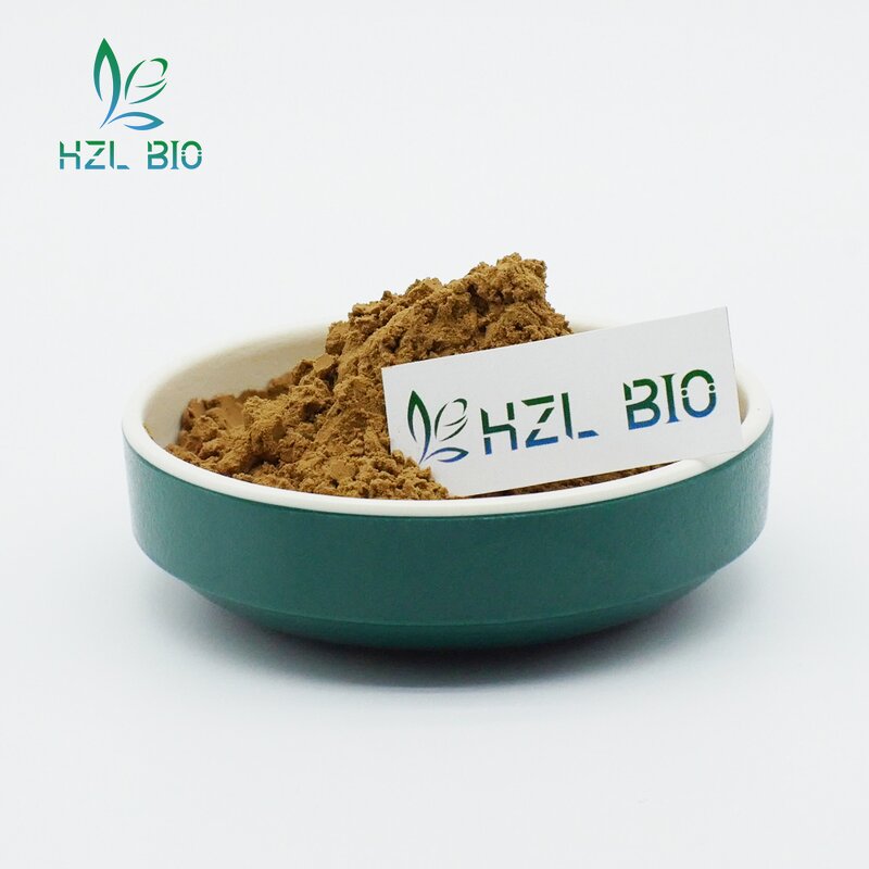 Astragalus Root Powder Manufacturer - Organic Healthy Extract