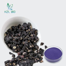 Black Wolfberry Extract Manufacturer - Chinese Fruit Powder New
