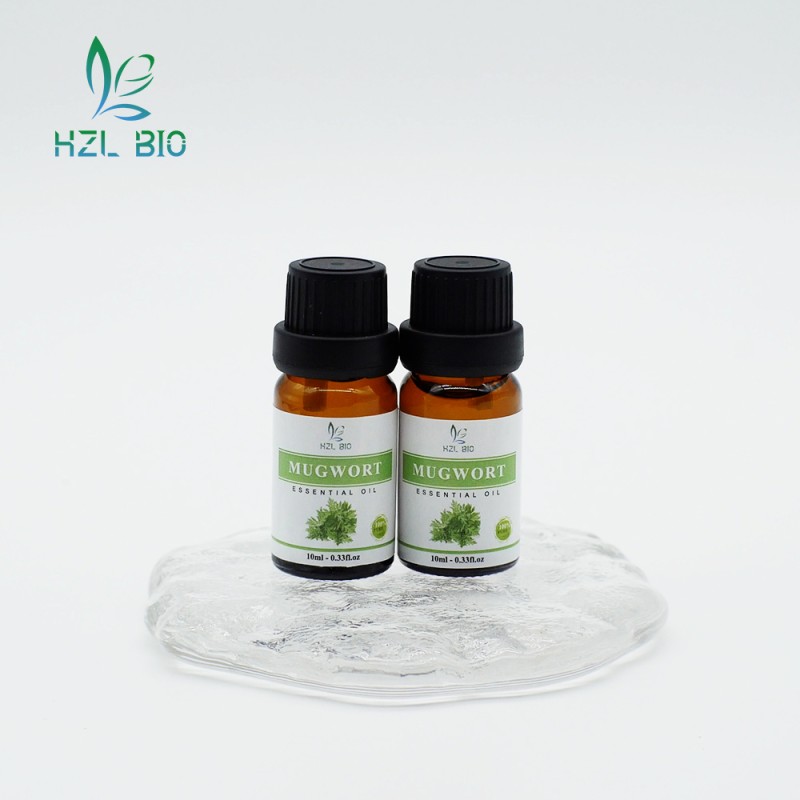 Mugwort Essential Oil Extract Manufacturer - Pure Organic New Arrival