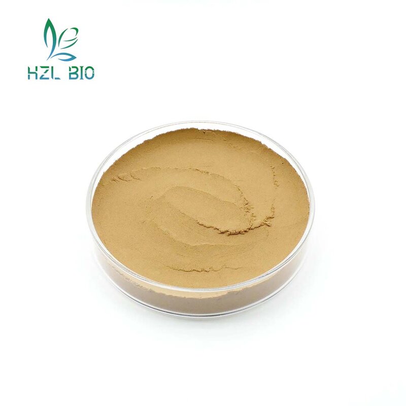 Momordica Grosvenori Extract Factory - 20%-90% Mogroside Powder