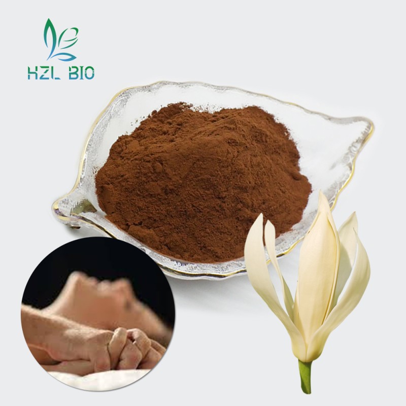Michelia Alba Extract Supplier - Verbascoside Powder Low Price