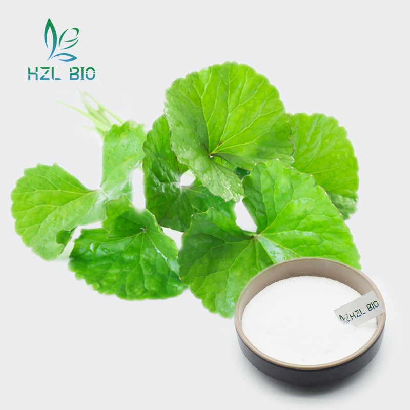 Centella Asiatica Extract Supplier - 40% Asiaticoside Organic Powder