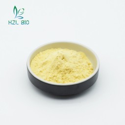 Passion Fruit Powder Manufacturer - Food Grade Natural Extract