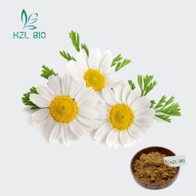Chamomile Extract Factory - 10:1 20:1 Flower Powder Wholesale