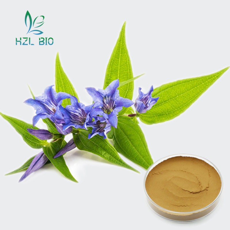 Gentian Root Extract Supplier - 8% Gentiopicrin Natural Powder