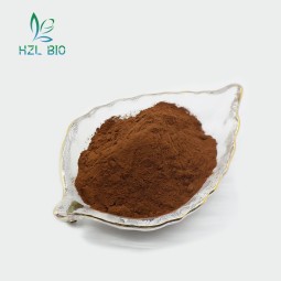 Michelia Alba Extract Supplier - Verbascoside Powder Low Price