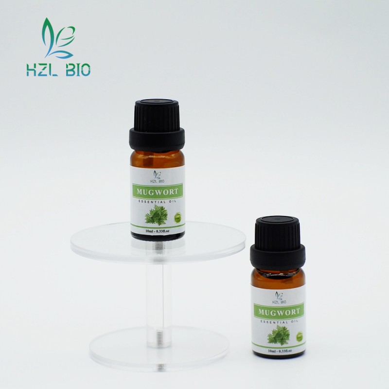 Mugwort Essential Oil Extract Manufacturer - Pure Organic New Arrival