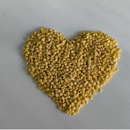 Blowing Agent Factory - Environmentally Friendly PET Particle