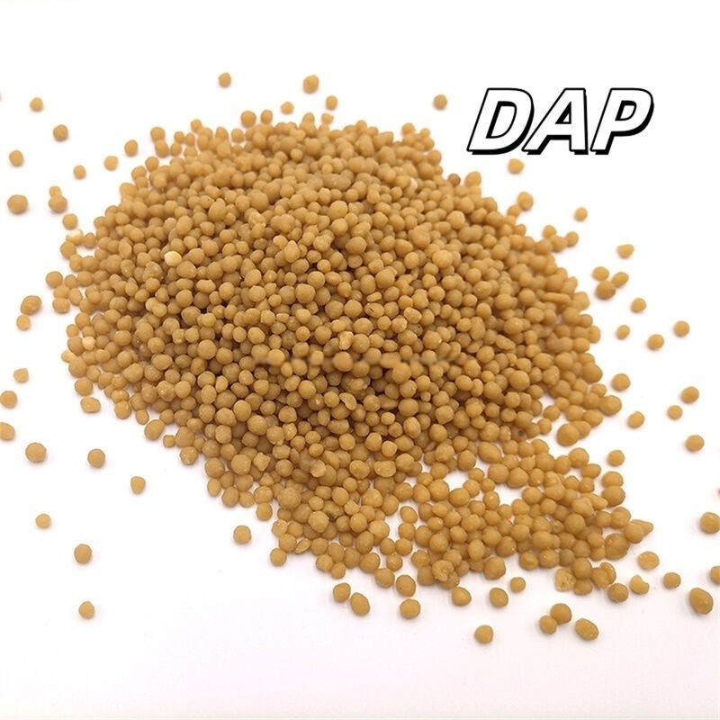 DAP Fertilizer Manufacturer - 18-46-0 Liquid Calcium