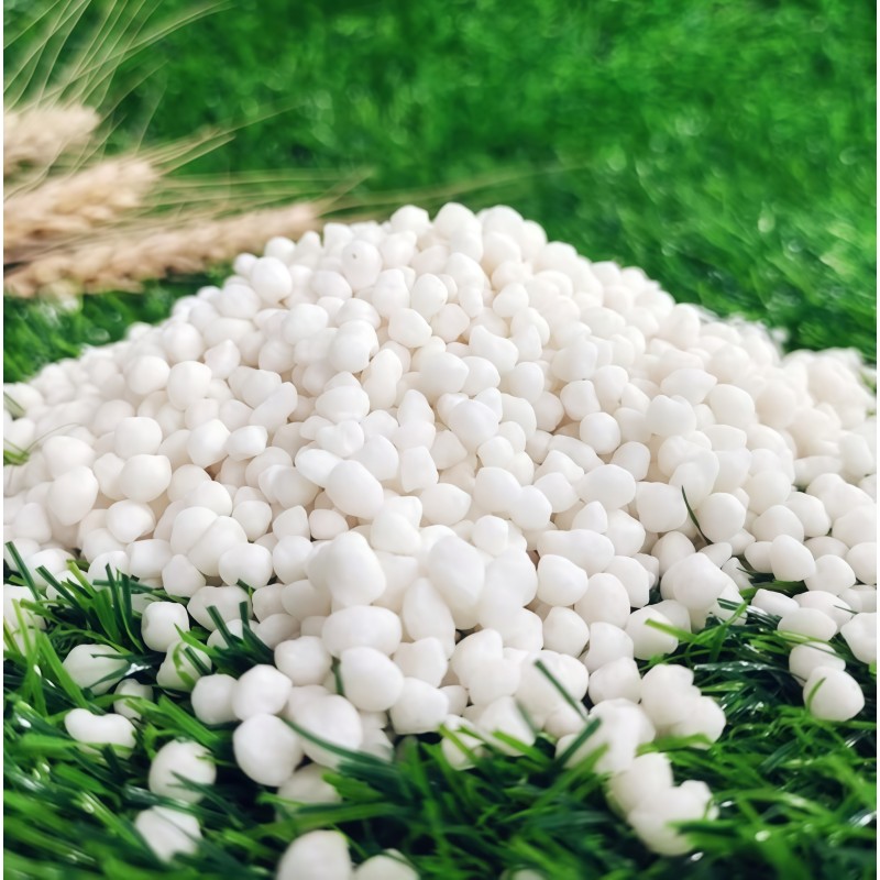 Nitrogen Fertilizer Manufacturer - 46% Controlled Release