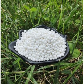 Organic Urea Factory - Slow Release 46% CH4N2O
