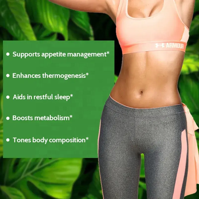 Fat Burner Capsule Supplier - ODM Private Label Herbal Pills Fast