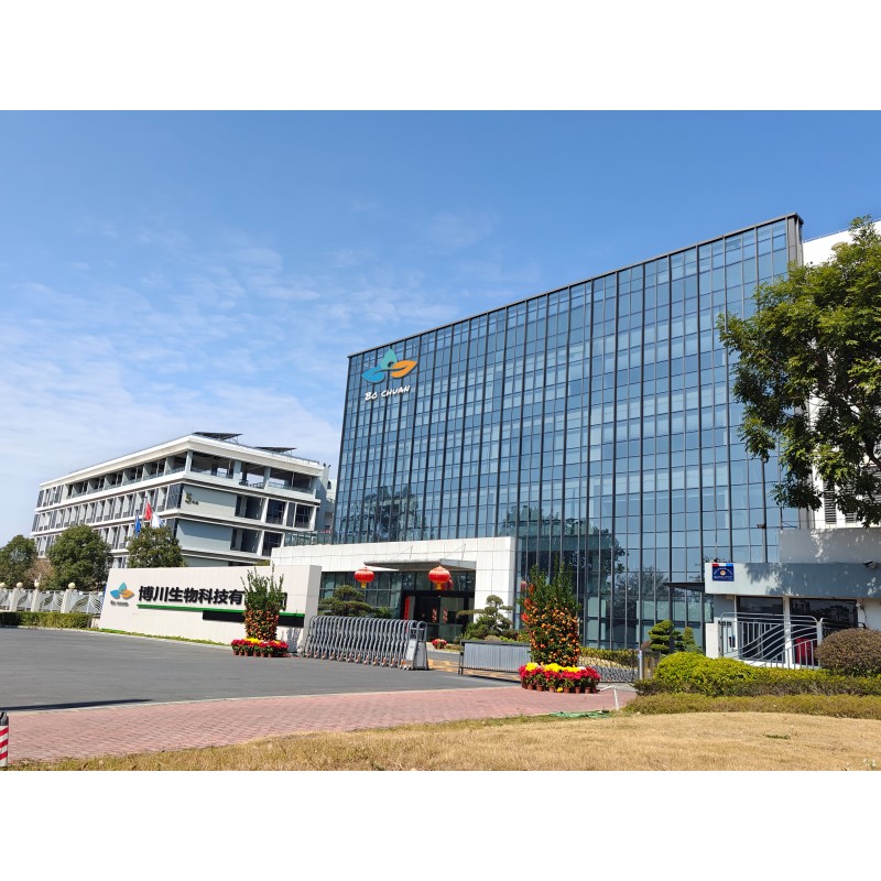 Fruit Vegetable Powder Manufacturer - Organic Freeze Dried Super Foods