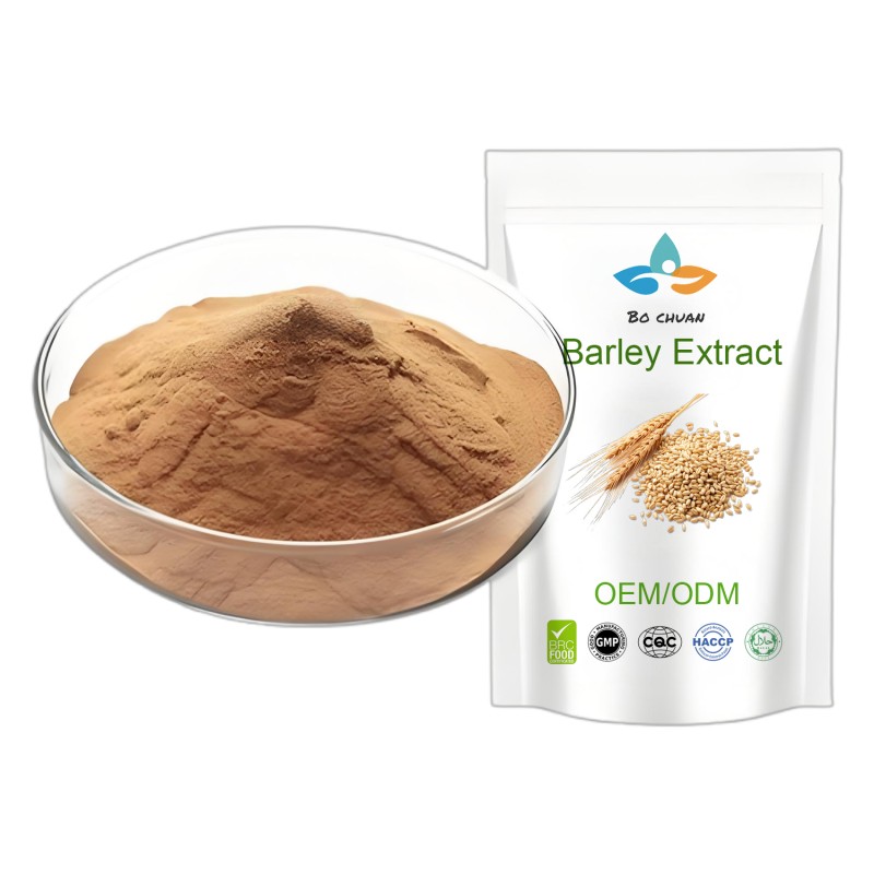 Barley Extract Powder Supplier - High Quality Solvent Extracted Halal