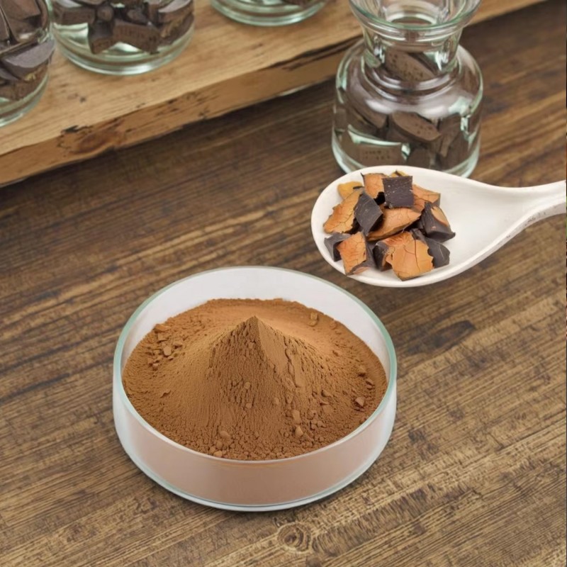 Chaga Mushroom Extract Manufacturer - 100% Natural Inonotus Obliquus