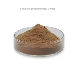 Rhodiola Rosea Extract Factory - Best Selling Herbal Supplement