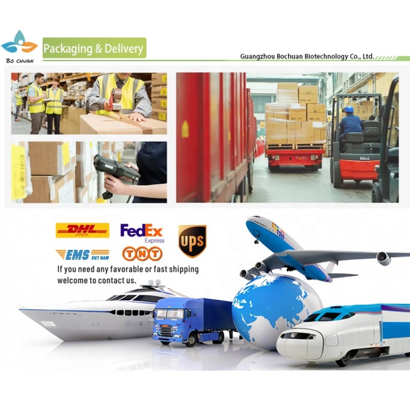 Dragon Fruit Powder Factory - Freeze Dried Organic Red Pink Pitaya