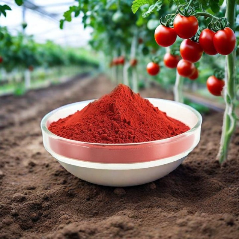 Lycopene Powder Supplier - Pure Tomato Extract Best Price