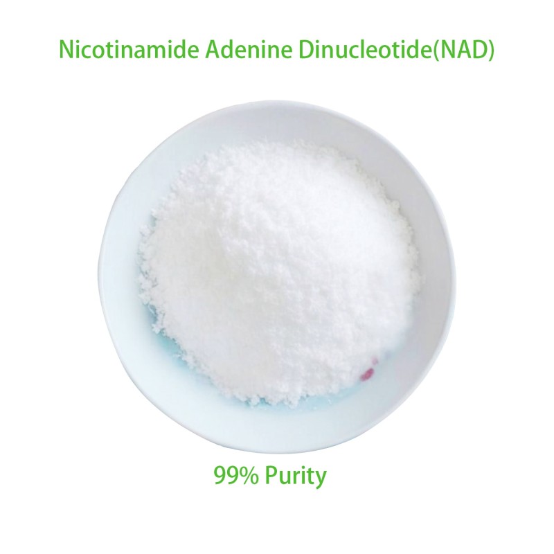 NAD Powder Supplier - Bulk 70% NAD+ NADH Nicotinamide
