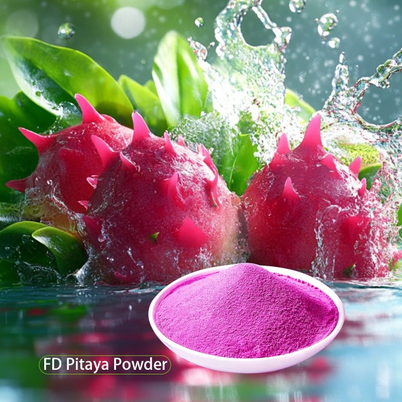Dragon Fruit Powder Factory - Freeze Dried Organic Red Pink Pitaya