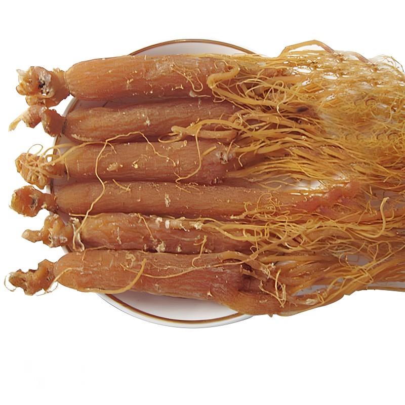 Red Ginseng Extract Manufacturer - Korea Ginsenoside 5%-80% Powder