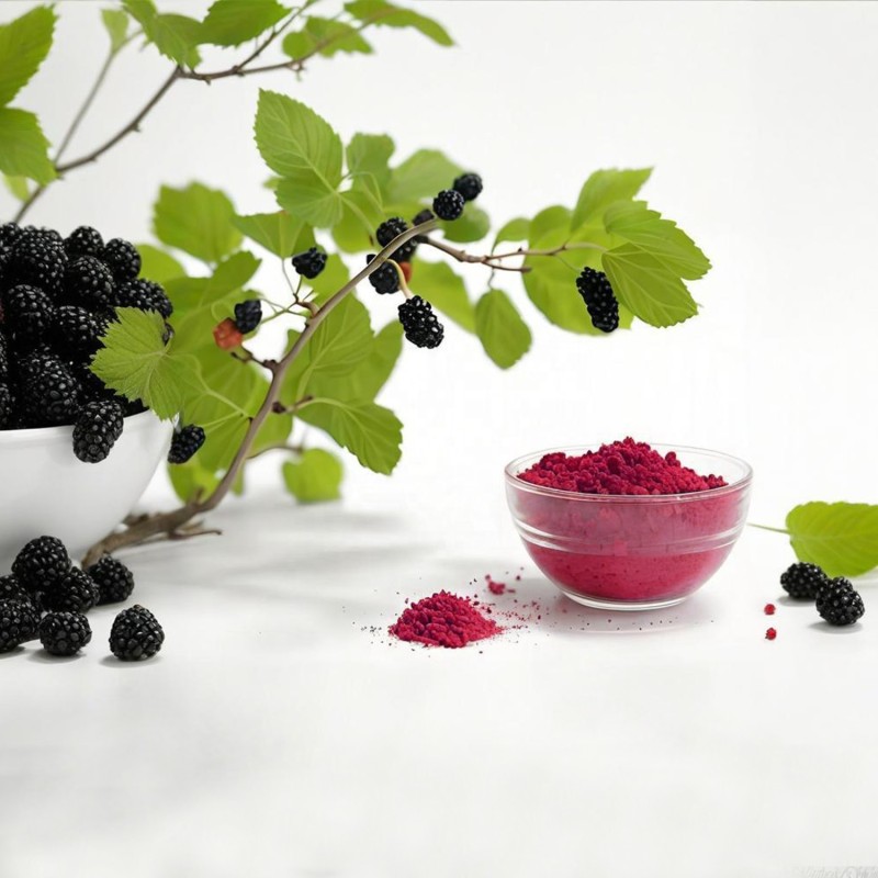 Mulberry Powder Supplier - High Quality Natural Good Flavor Freeze Dried