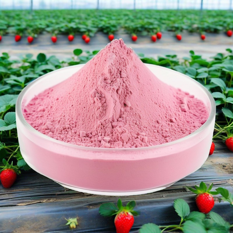 Strawberry Powder Factory - Food Grade Bulk Organic Extract
