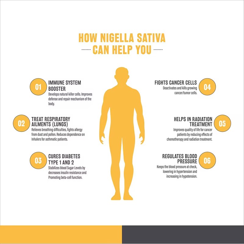 Black Seed Oil Manufacturer - OEM Customization Immune Support Sativa