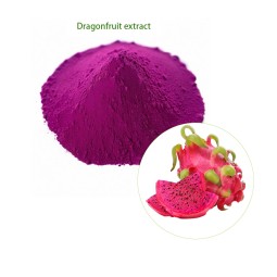 Dragon Fruit Powder Factory - Freeze Dried Organic Red Pink Pitaya