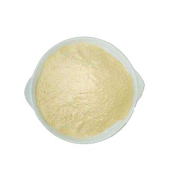 Casein Protein Powder Manufacturer - CAS 9000-71-9